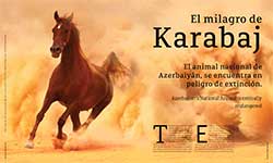 El milagro de Karabaj - Ma. del Carmen Hernández