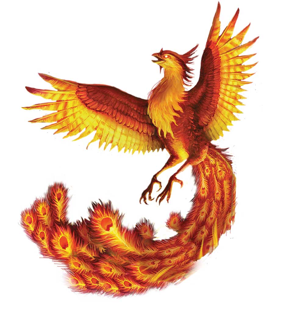 Immolation of the Phoenix – Wonders of Nature and Artifice