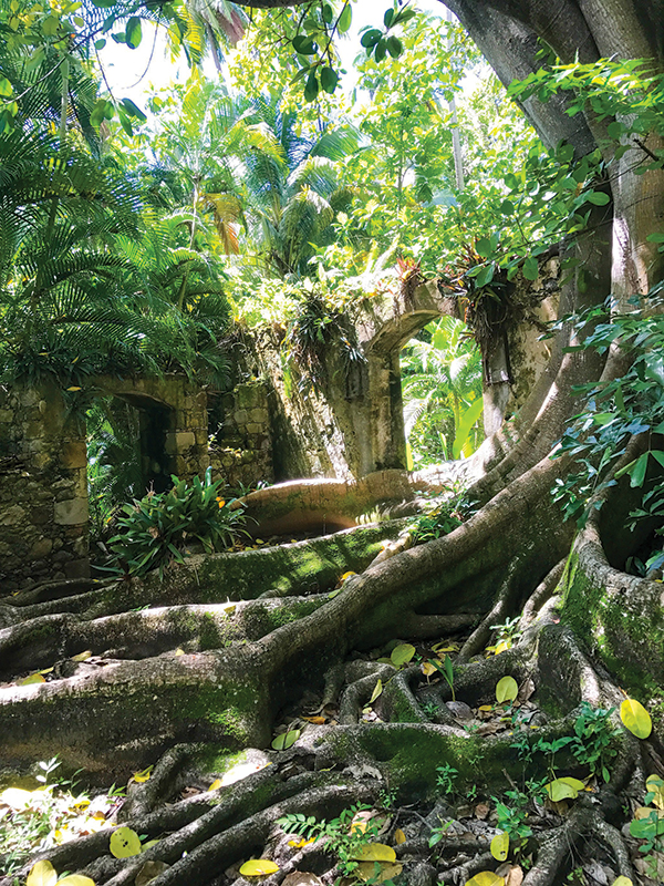 The Balenbouche Plantation possesses significant natural, archeological and historical treasures. 