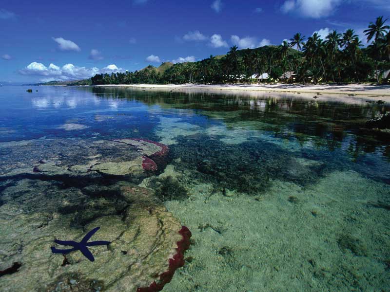 Fiji is known as the Soft Coral Capital of the World with more tan 10,000km2 of coral reefs and hundreds of species.
