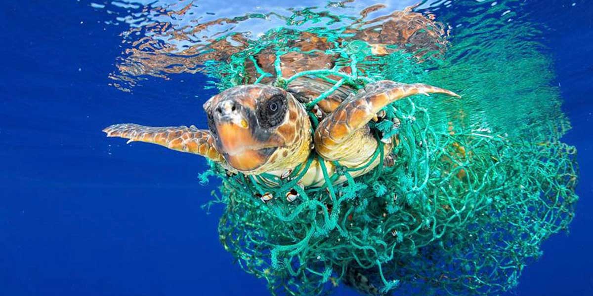 Contaminación por plástico, amenaza marina
