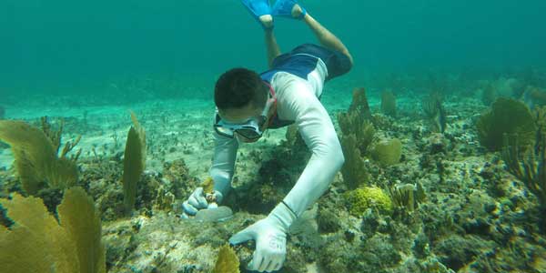 Mayakoba celebra Reef Week