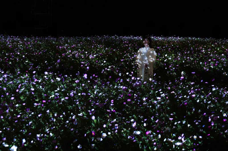 Amura,AmuraWorld,AmuraYachts, TeamLab explora un espacio donde la percepción humana se expande desde la obra de arte misma hasta el medio ambiente.