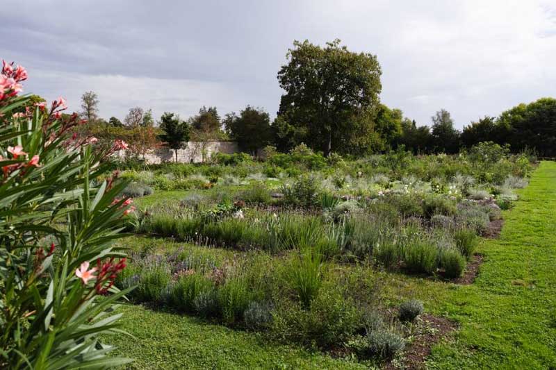 Amura,AmuraWorld,AmuraYachts, El Jardín del perfumista, una nueva atracción en París, Francia.