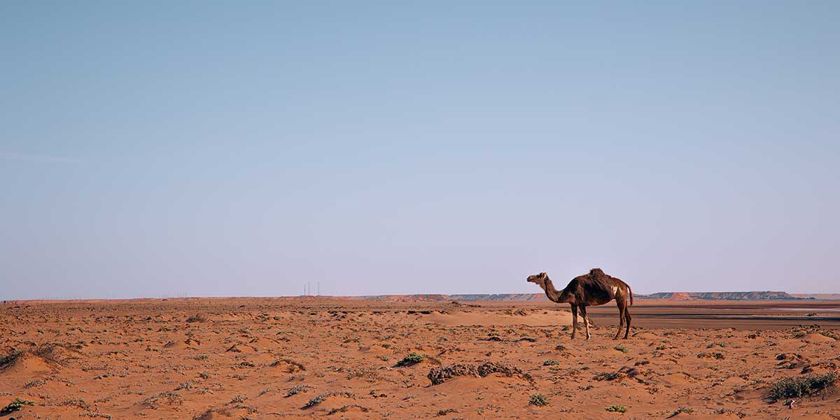 Descanso en el desierto marroquí de Dakhla
