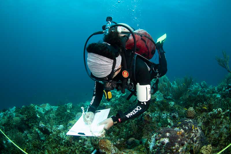 Amura,AmuraWorld,AmuraYachts, El Parque Nacional Bajos del Norte se localiza a 140 km de la costa de Yucatán.