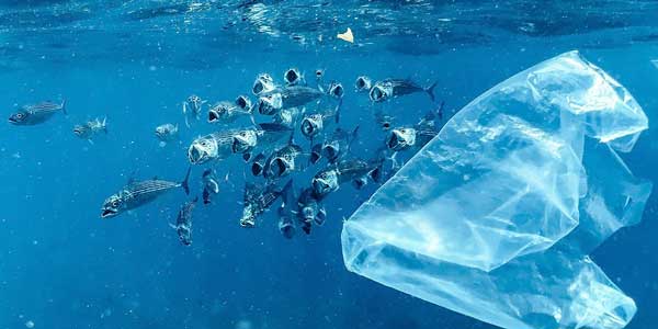 Cómo combatir la contaminación plástica