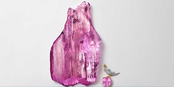 Celebran el 60 aniversario de Bird on a Rock