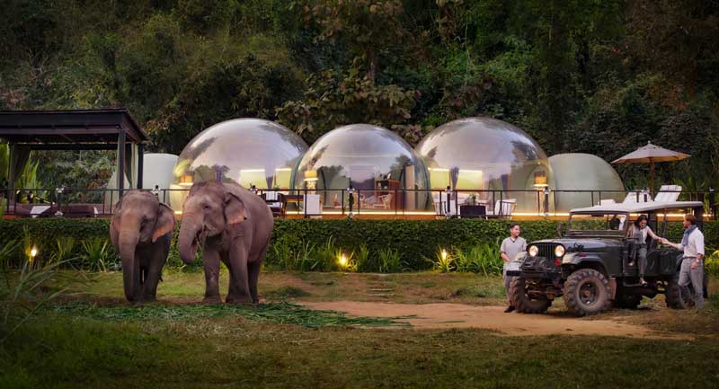 Amura,AmuraWorld,AmuraYachts, Anantara Golden Triangle Elephant Camp & Resort ofrece la experiencia de las <em>Jungle Bubble</em> para observar a los elefantes en su hábitat natural.