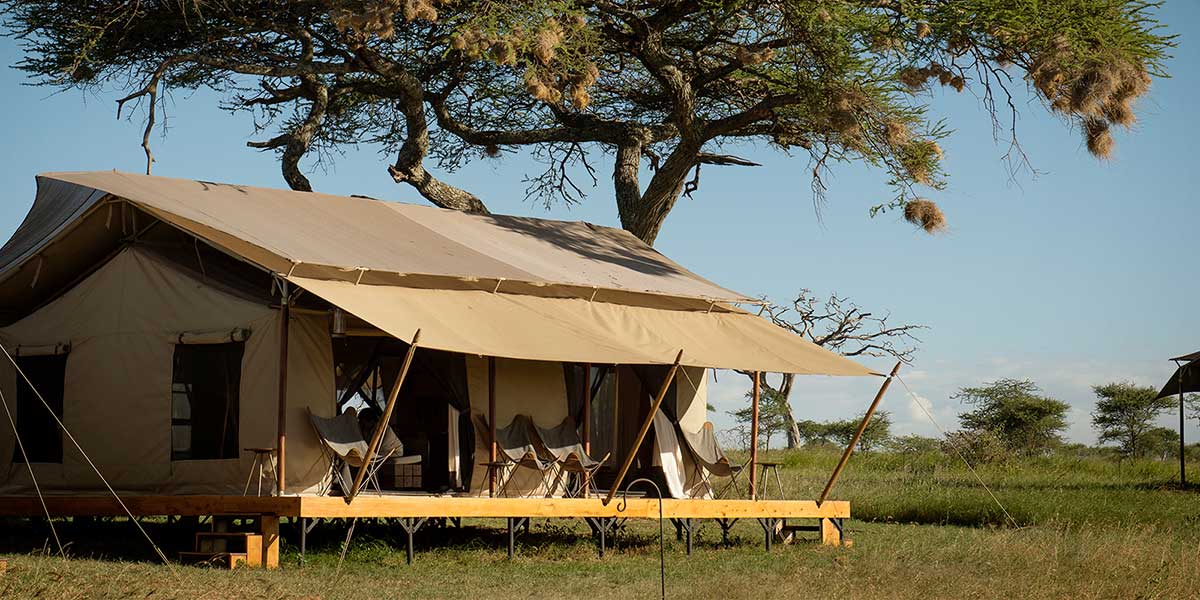 La gran travesía del Serengeti