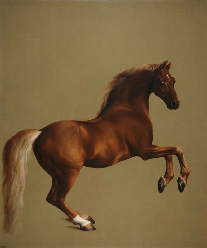Amura,AmuraWorld,AmuraYachts, George Stubbs, Whistlejacket, 1762. National Gallery, Londres.