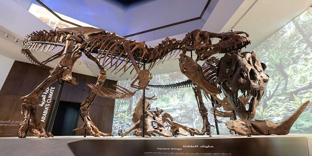 Un encuentro con la historia de la Tierra