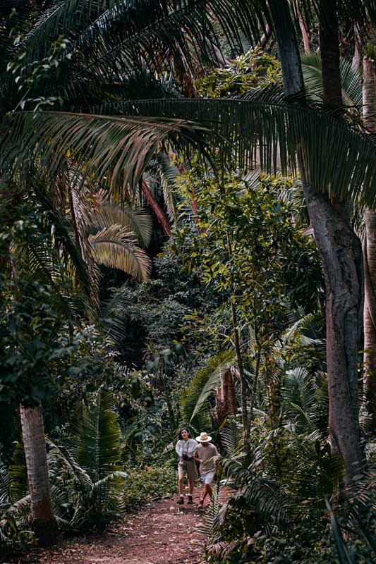 Amura,AmuraWorld,AmuraYachts, Las caminatas en Rosewood Mandarina se realizan en diversos ecosistemas.