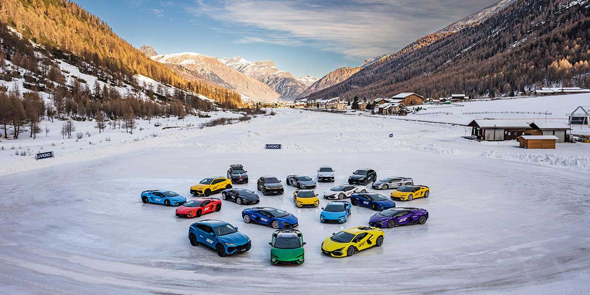 Dominio del toro en la nieve