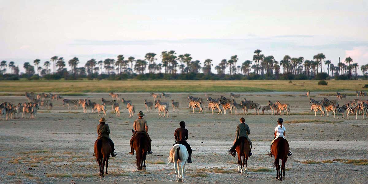 Un original recorrido por África