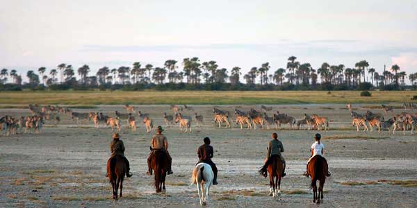 Un original recorrido por África