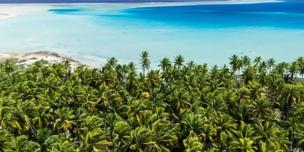 Una nueva odisea en el corazón del Pacífico