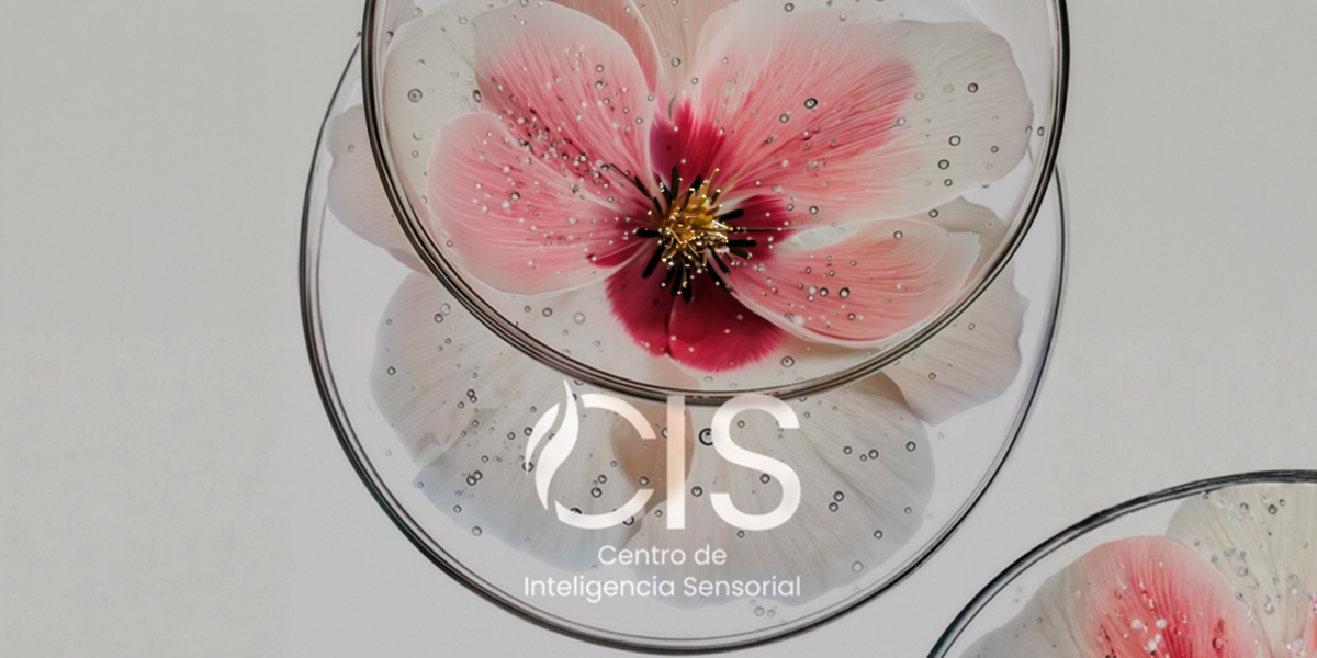 Amura,AmuraWorld,AmuraYachts, 