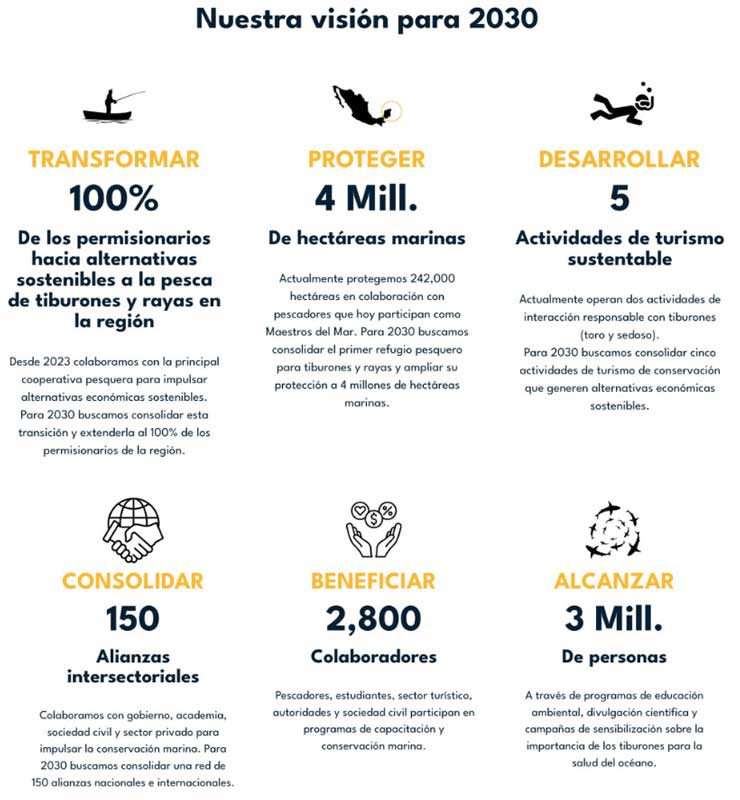 Amura,AmuraWorld,AmuraYachts, 