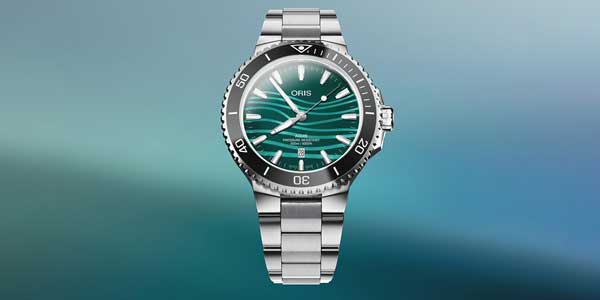 A favor de la marsopa sin aleta dorsal