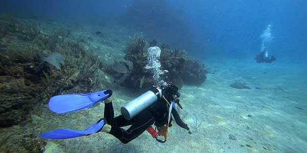 Alianza para proteger los arrecifes de coral