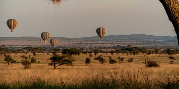 En plena naturaleza: un safari familiar en Tanzania