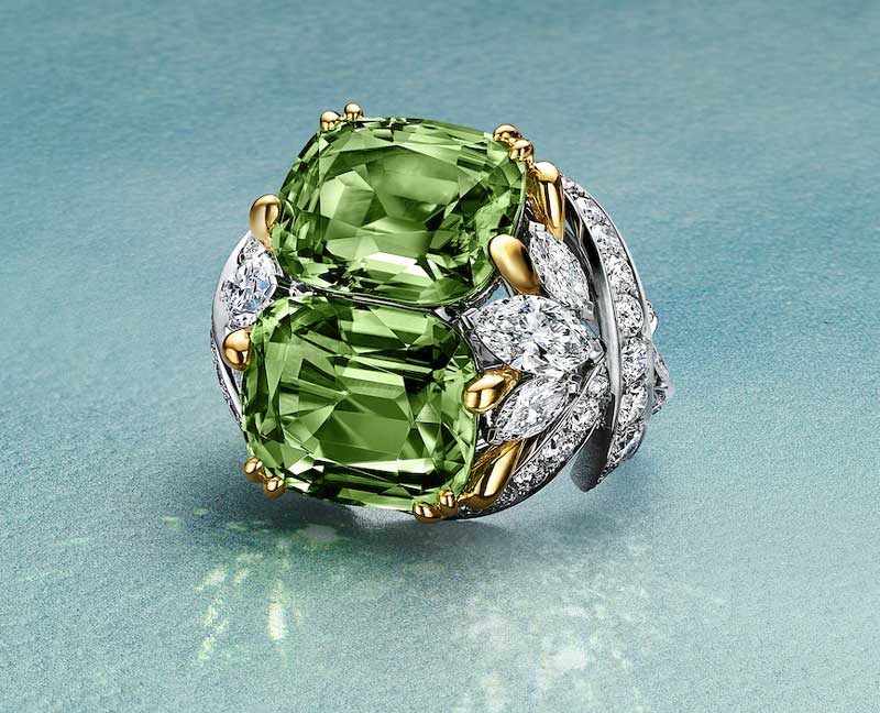 Amura,AmuraWorld,AmuraYachts, <em><i>Petals</i></em>,<em><i> del Blue Book Summer 2026: Hidden Garden </i></em>de Tiffany & Co.