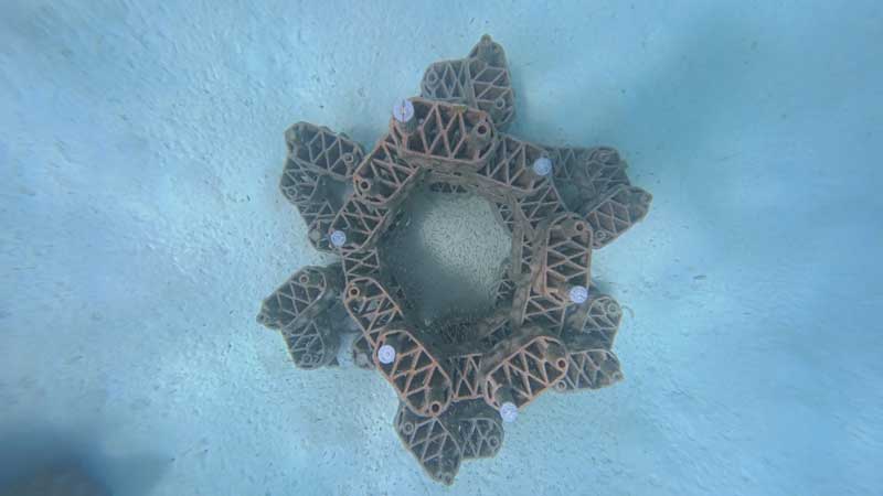 Amura,AmuraWorld,AmuraYachts, Las bautizadas como <em><i>flores submarinas </i></em>está fabricadas con arcilla natural e impresas en 3D.