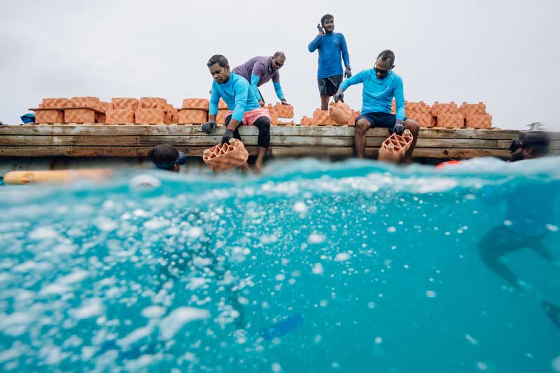 Amura,AmuraWorld,AmuraYachts, Cientos de estructuras de arcilla serán colocadas en el fondo del mar del atolón Malé Sur, en Maldivas, para promover el crecimiento de corales.