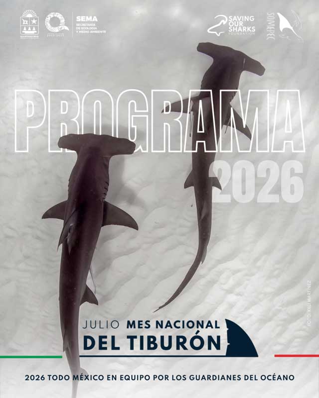 Amura,AmuraWorld,AmuraYachts, Más de 50 actividades se incluyen en el programa del Mes Nacional del Tiburón.