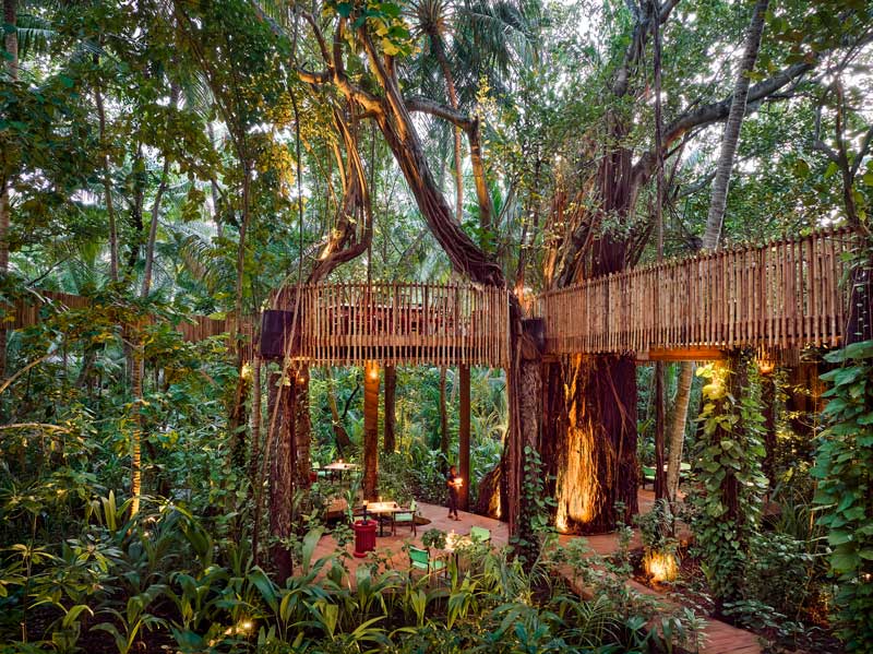 Amura,AmuraWorld,AmuraYachts, El restaurante <em>Nest </em>fue construido en la copa de los árboles.
