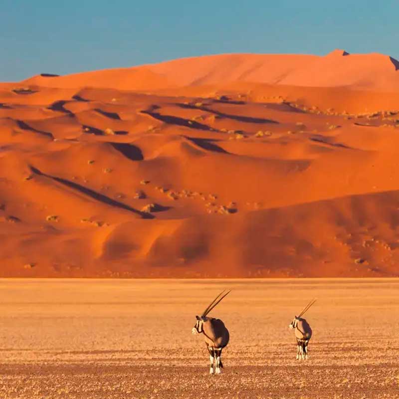 Amura,AmuraWorld,AmuraYachts, Desierto de Namib, Namibia.