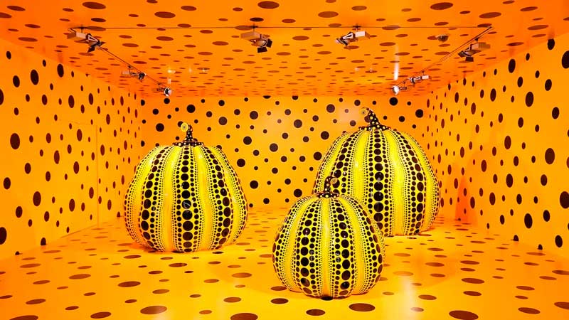 Amura,AmuraWorld,AmuraYachts, Las calabazas fueron uno de los objetos que más presentó en sus obras. 