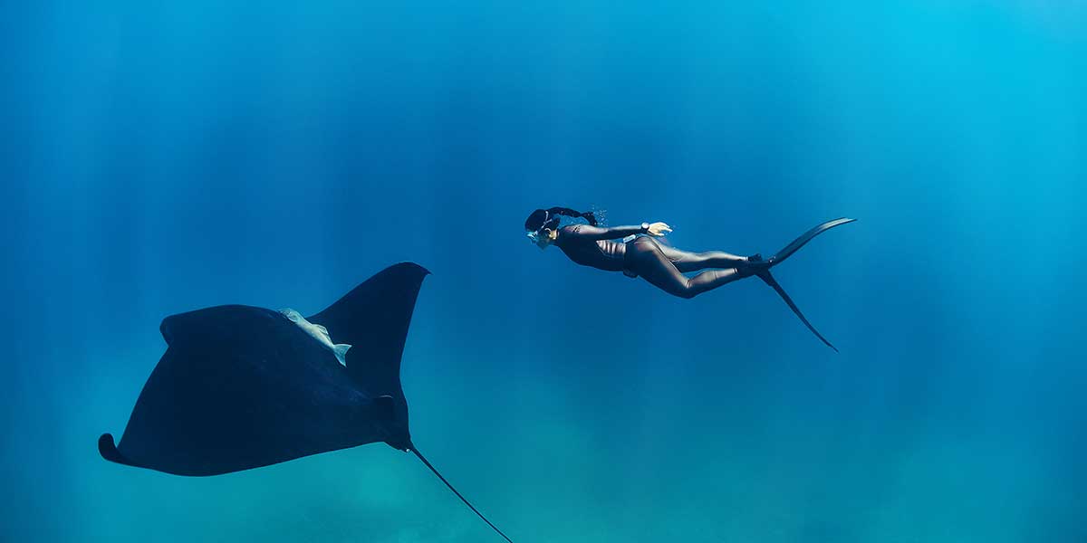 Conoce las profundidades marinas en apnea
