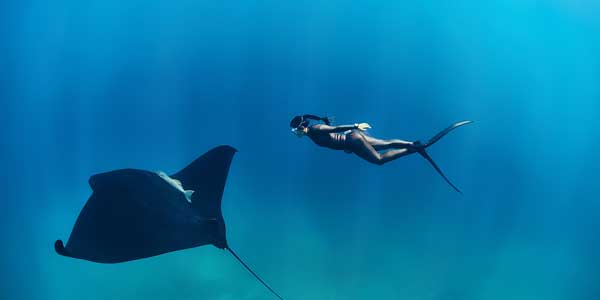 Conoce las profundidades marinas en apnea