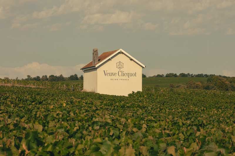Amura,AmuraWorld,AmuraYachts, Los viñedos de Veuve de Clicquot.
