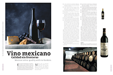 Vino Mexicano - Georgina Estrada Gil, Asociación Nacional de Sommeliers