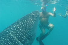 Nadando entre tiburones ballenas - Alberto Friscione Carrascosa