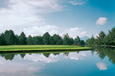 Golf en el bosque - Laura Velázquez