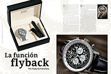 The Flyback function - Tonatiuh