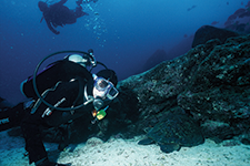 Galapagos Islands - Alberto Friscione Carrascosa