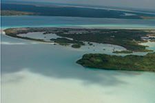 California Terrain, in Quintana Roo - AMURA