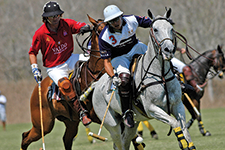 Polo in its maxium expression - Mario Ramírez