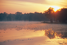 Kakadu National Park, Kingdom of Crocodiles - Patrick Monney