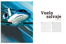 Vuelo salvaje - Laura Velázquez