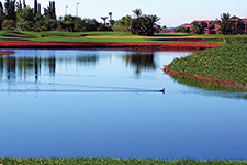 Golf en Marrakech - Patrick Monney