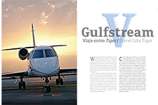 V Gulfstream - Laura Velázquez