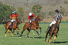 Sport of  Kings on the Field of Kings - Juan Manuel Orbea