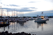 Great Marlim and Tuna Party on the Riviera Nayarit - Juan Manuel Orbea