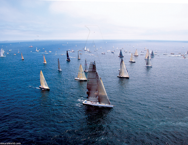 disney movie transpacific yacht race